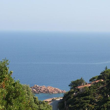 קוסטה פרדיסו Sardinia Sea Vacation Villa חדר תמונה